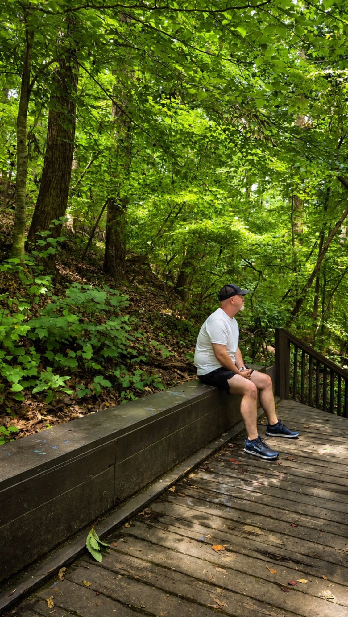 Scenic outdoor landscape highlighting parks, trails and natural beauty around Gainesville, Georgia