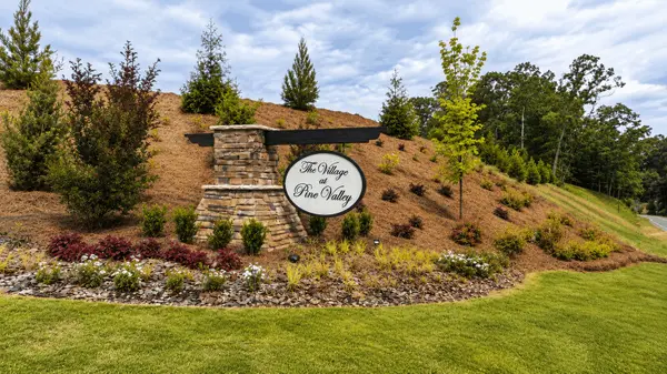 New construction Shannon Sanborn - The Flying Realtor Gainesville, Ga