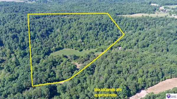 2327 Wright Lane, Bonnieville, KY 42713