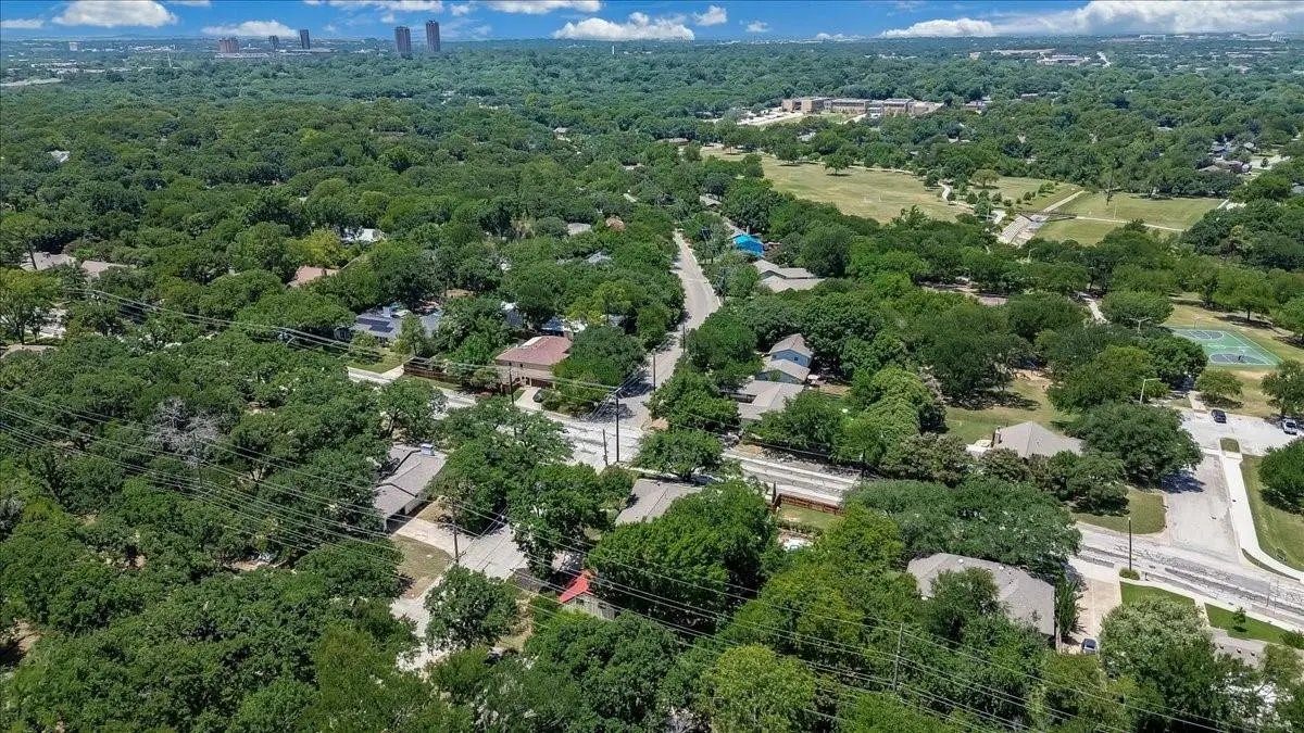 Idiots Hill Neighborhood Mature Tree Canopy