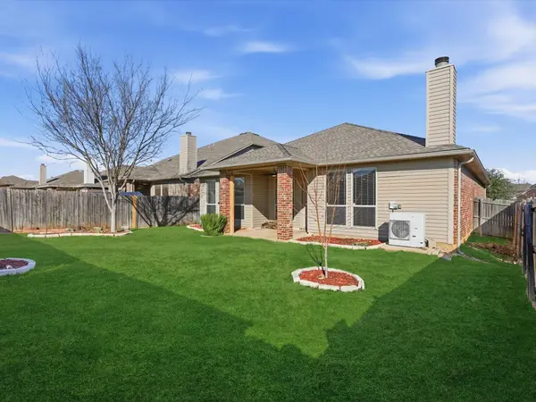 feature image of North Texas Grass Types Benefits and Drawbacks