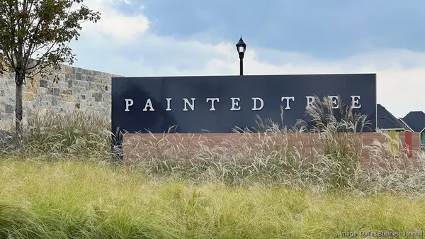 Painted Tree