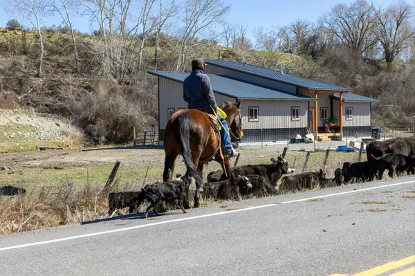 Houston horse properties for sale - flat-lay of mortgage papers, charts and aerial view of Texas equestrian acreage