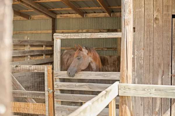 271 Jupiter TRL, Weatherford, TX 76088
