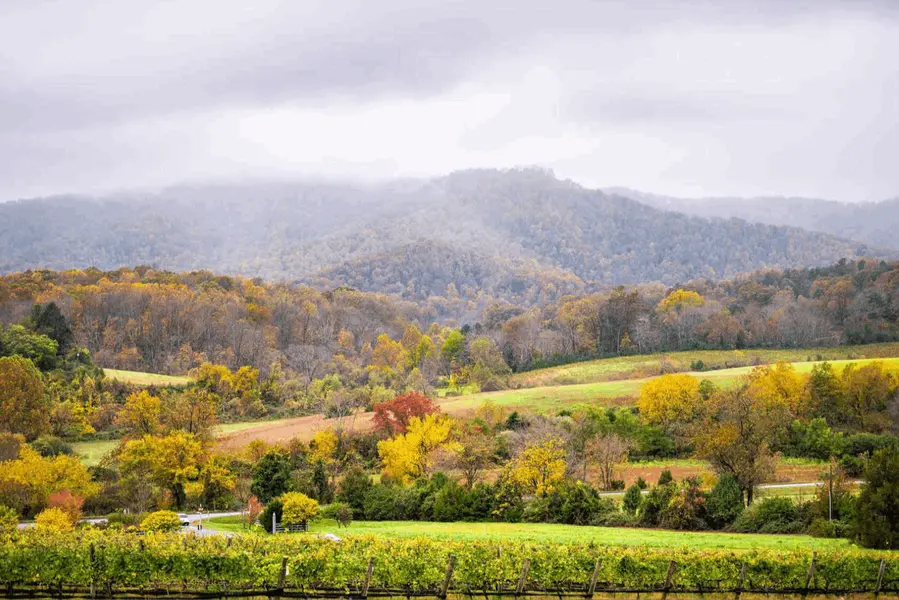 Charlottesville