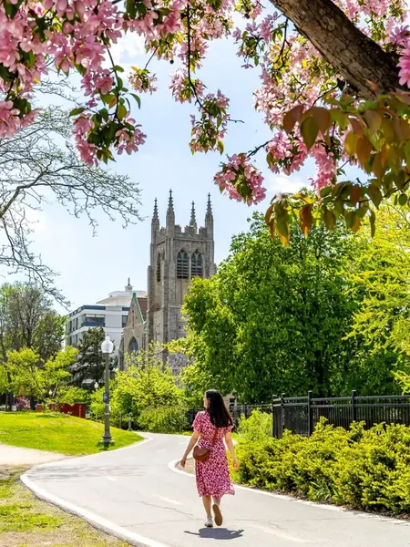 Westmount