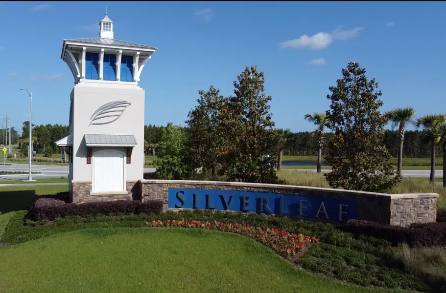 Silverleaf