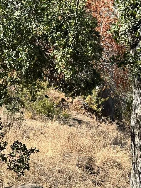 0 Thunderhill LN, Yokuts Valley, CA 93675