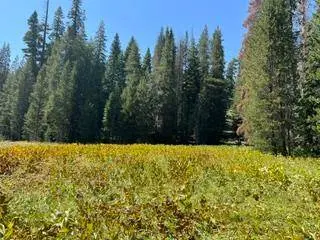 0 Hlk135-Cabin @ Heart Meadow, Sequoia National Prk, CA 93262