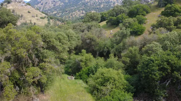 47595 Diablo LN, Yokuts Valley, CA 93675