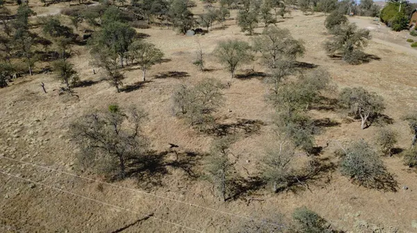 0 Wolverine Ln, Yokuts Valley, CA 93675