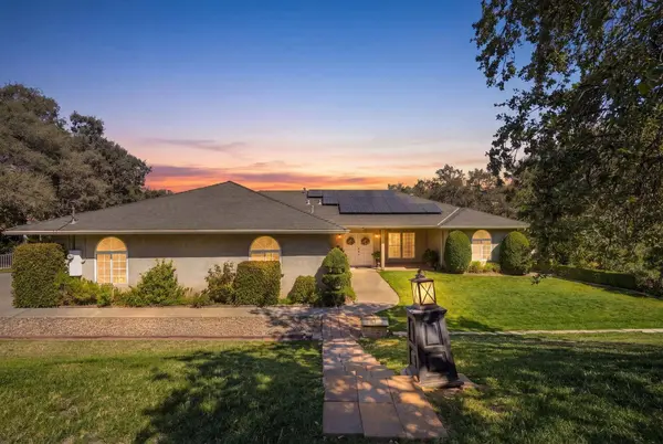 33378 Puma LN