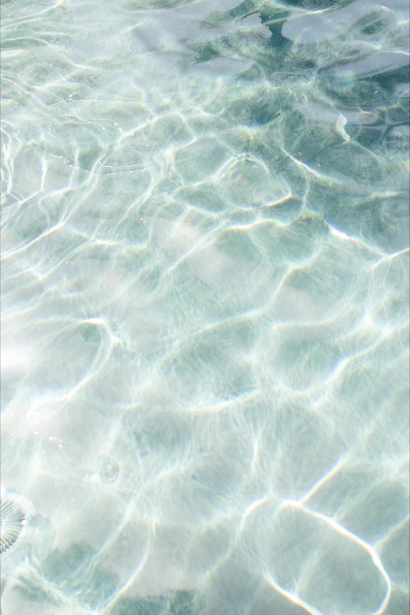 blog banner