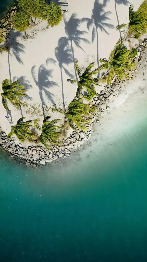 melainey-gunning-florida