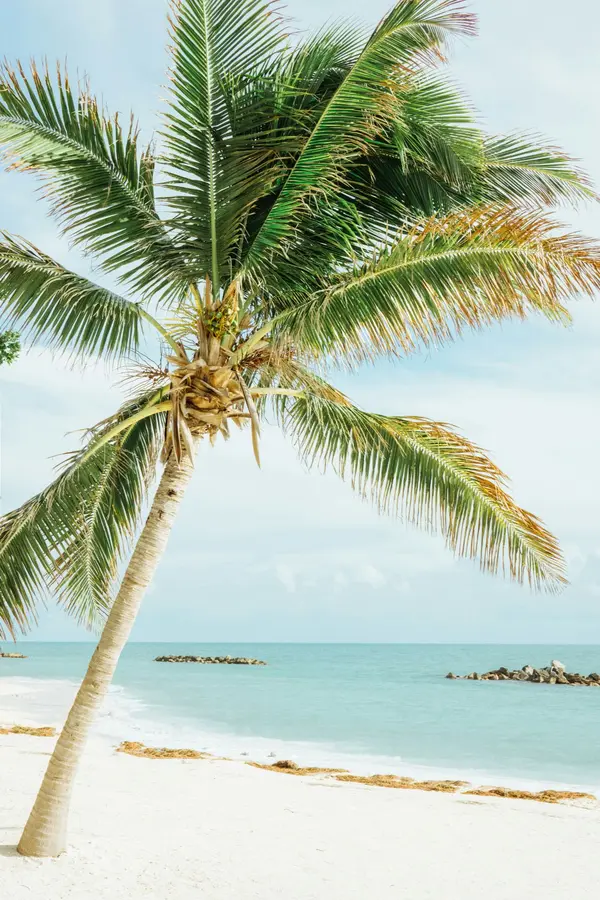 Relocating to Florida’s Treasure Coast: What Buyers Should Know
