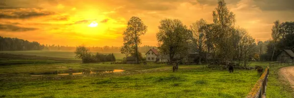 feature image of Florida Homestead Exemption: How It Works, Who Qualifies, and How to File