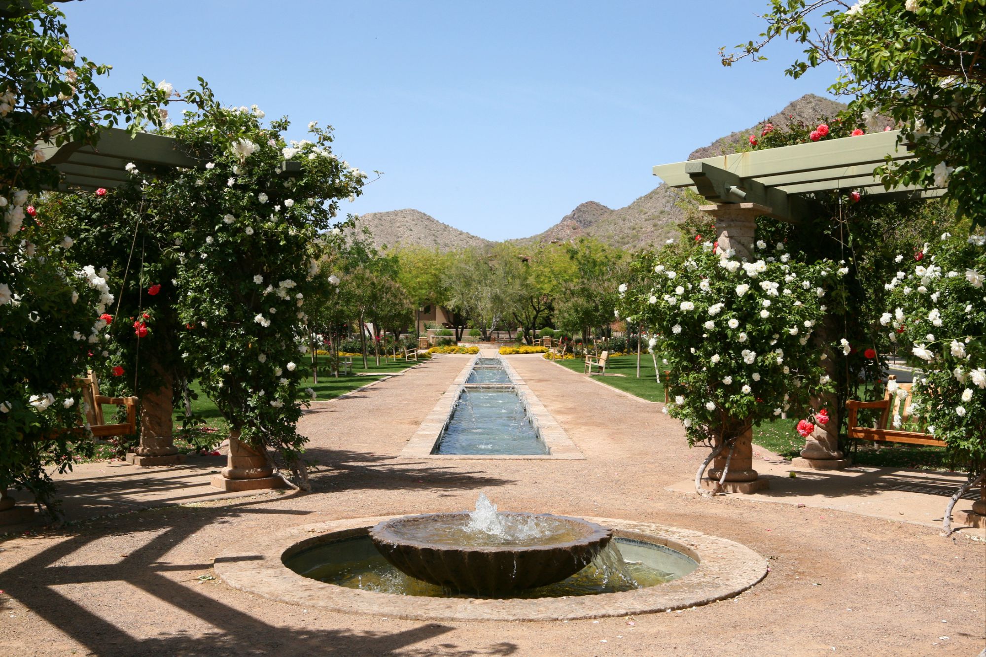 North Scottsdale desert landscape