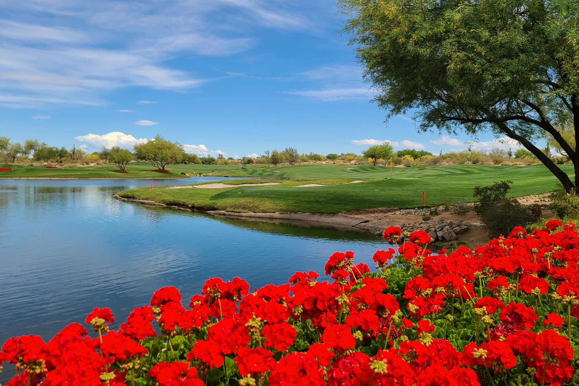 Golf course landscape representing North Scottsdale golf community living