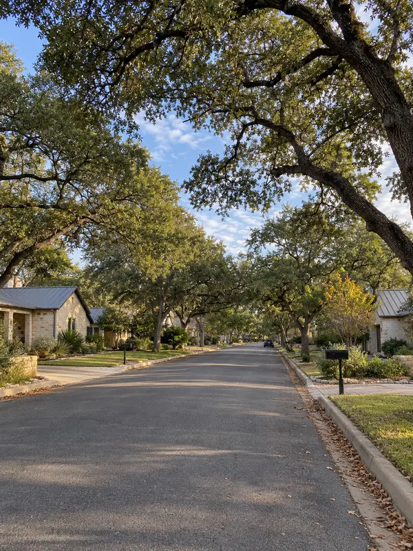 Tree-lined residential street with limestone homes and live oaks in New Braunfels, Texas.