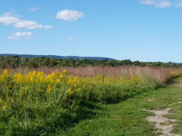 feature image of Orange County, NY Approves 50% Property Tax Exemption for Eligible Homebuyers