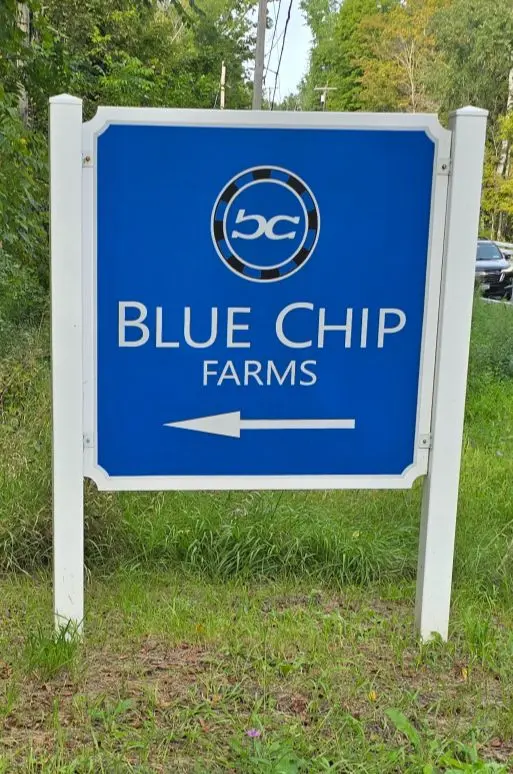 Blue Chip Farms Development in Wallkill: A New Chapter for Our Community?,Robert Brestovansky