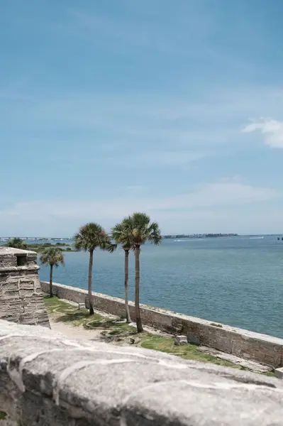 Saint Augustine