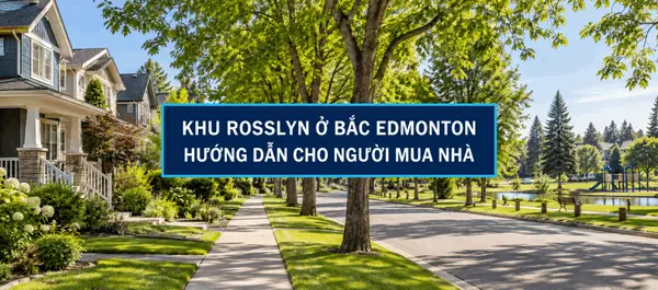 KHU ROSSLYN Ở BẮC EDMONTON: HƯỚNG DẪN CHO NGƯỜI MUA NHÀ