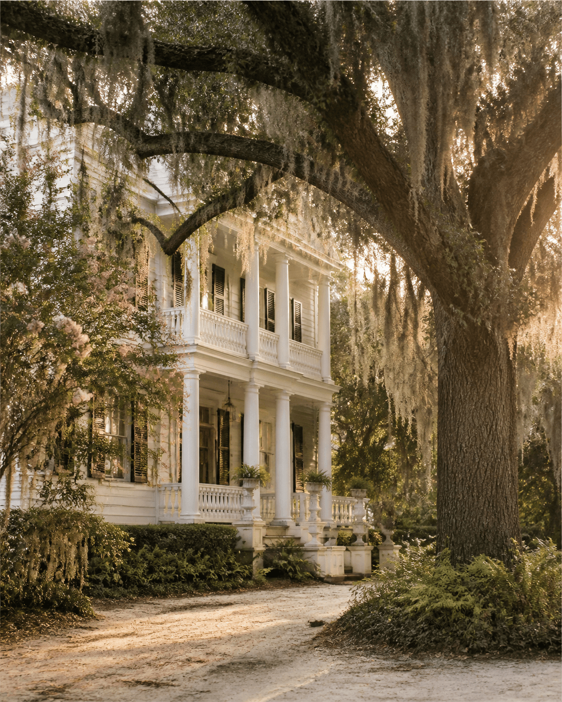 Beaufort home framed by a live oak draped in Spanish moss