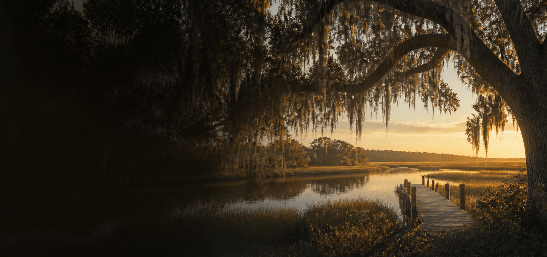 Lowcountry marsh and live oak at golden hour