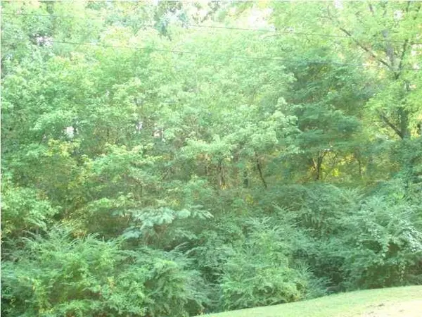 00 Johnny ST, Chattanooga, TN 37406