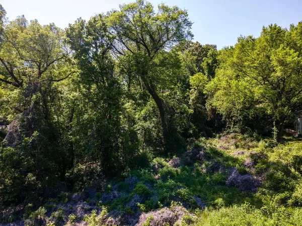 00 Seminole DR, Chattanooga, TN 37411