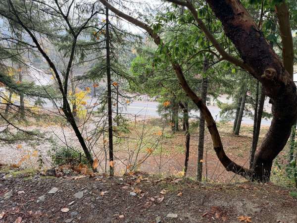 198 Coyote Creek RD, Wolf Creek, OR 97497