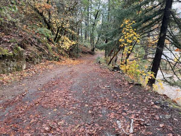 198 Coyote Creek RD, Wolf Creek, OR 97497