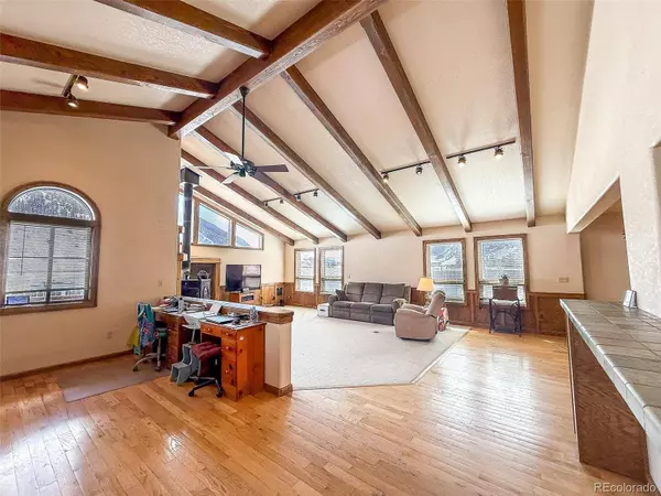 206 La Font DR, Creede, CO 81130