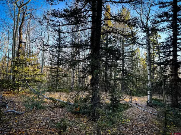 6817 Heckman Road, San Luis, CO 81152