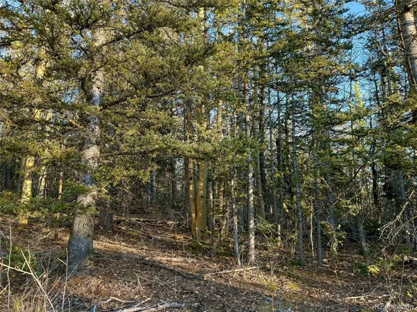 6817 Heckman RD, San Luis, CO 81152