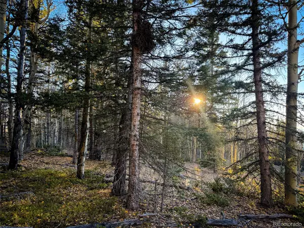 6817 Heckman RD, San Luis, CO 81152