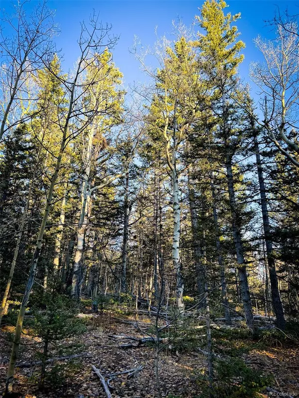 6817 Heckman RD, San Luis, CO 81152