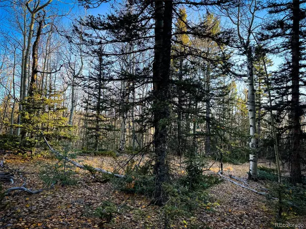 6817 Heckman RD, San Luis, CO 81152