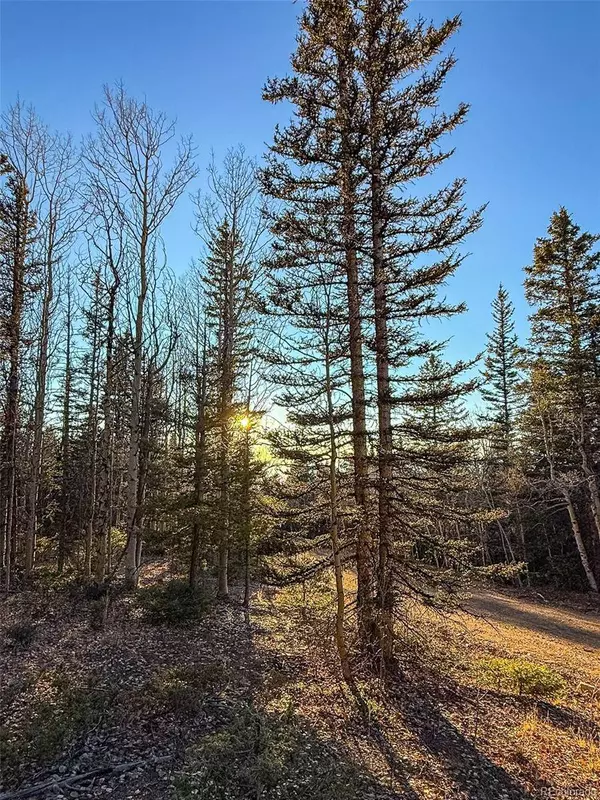 6817 Heckman RD, San Luis, CO 81152