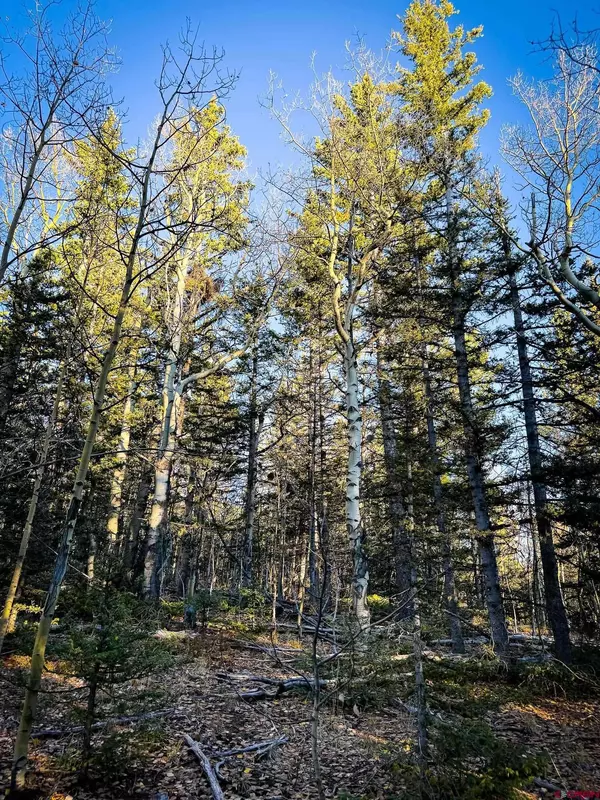 6817 Heckman Road, San Luis, CO 81152