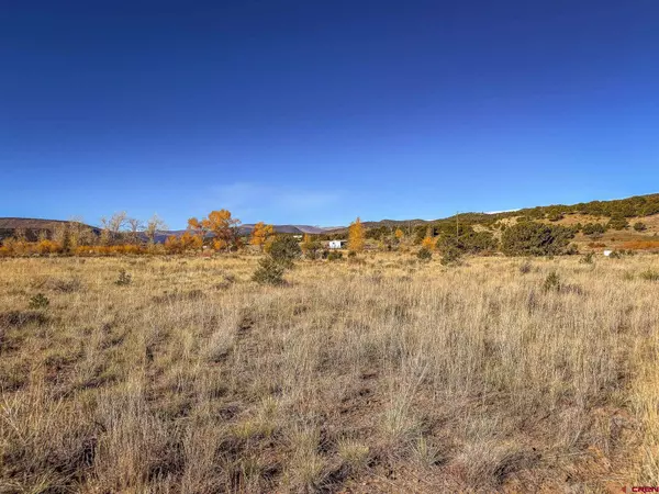 331 Red Feather Road, South Fork, CO 81154