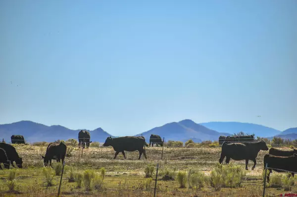 0 County Road 15.5, Blanca, CO 81123