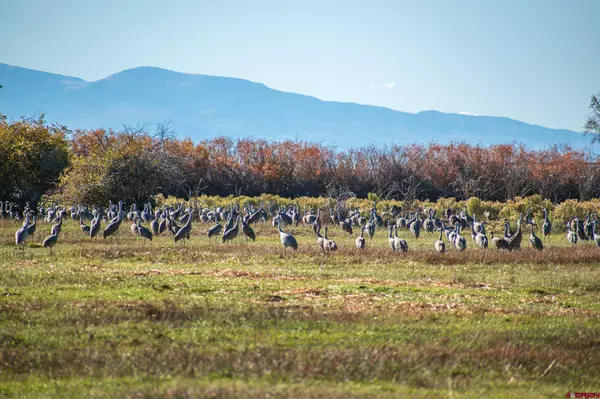 0 County Road 15.5, Blanca, CO 81123