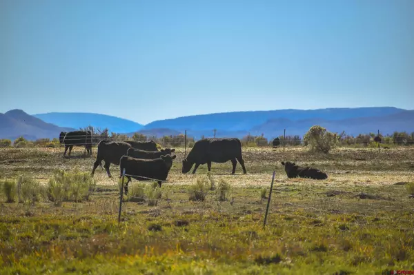 0 County Road 15.5, Blanca, CO 81123