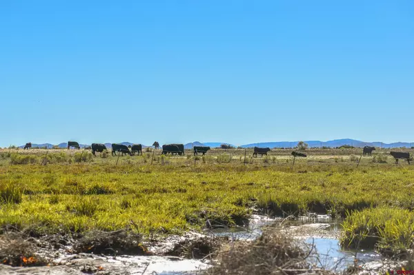 0 County Road 15.5, Blanca, CO 81123