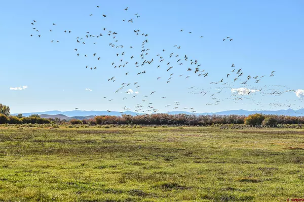 0 County Road 15.5, Blanca, CO 81123