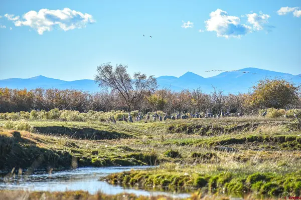 0 County Road GG, Fort  Garland, CO 81133