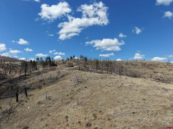 7631 Lewis Smith Rd, Fort  Garland, CO 81133
