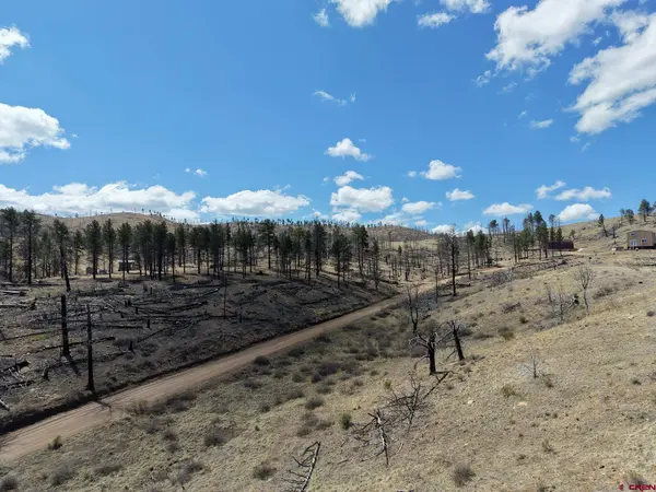 7631 Lewis Smith Rd, Fort  Garland, CO 81133